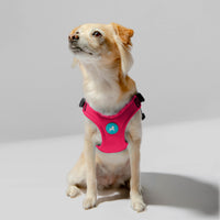 Escape Free Sport Harness