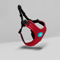 Escape Free Sport Harness