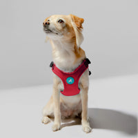 Escape Free Sport Harness