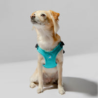 Escape Free Sport Harness