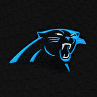 Carolina Panthers Waffle Knit Gloves