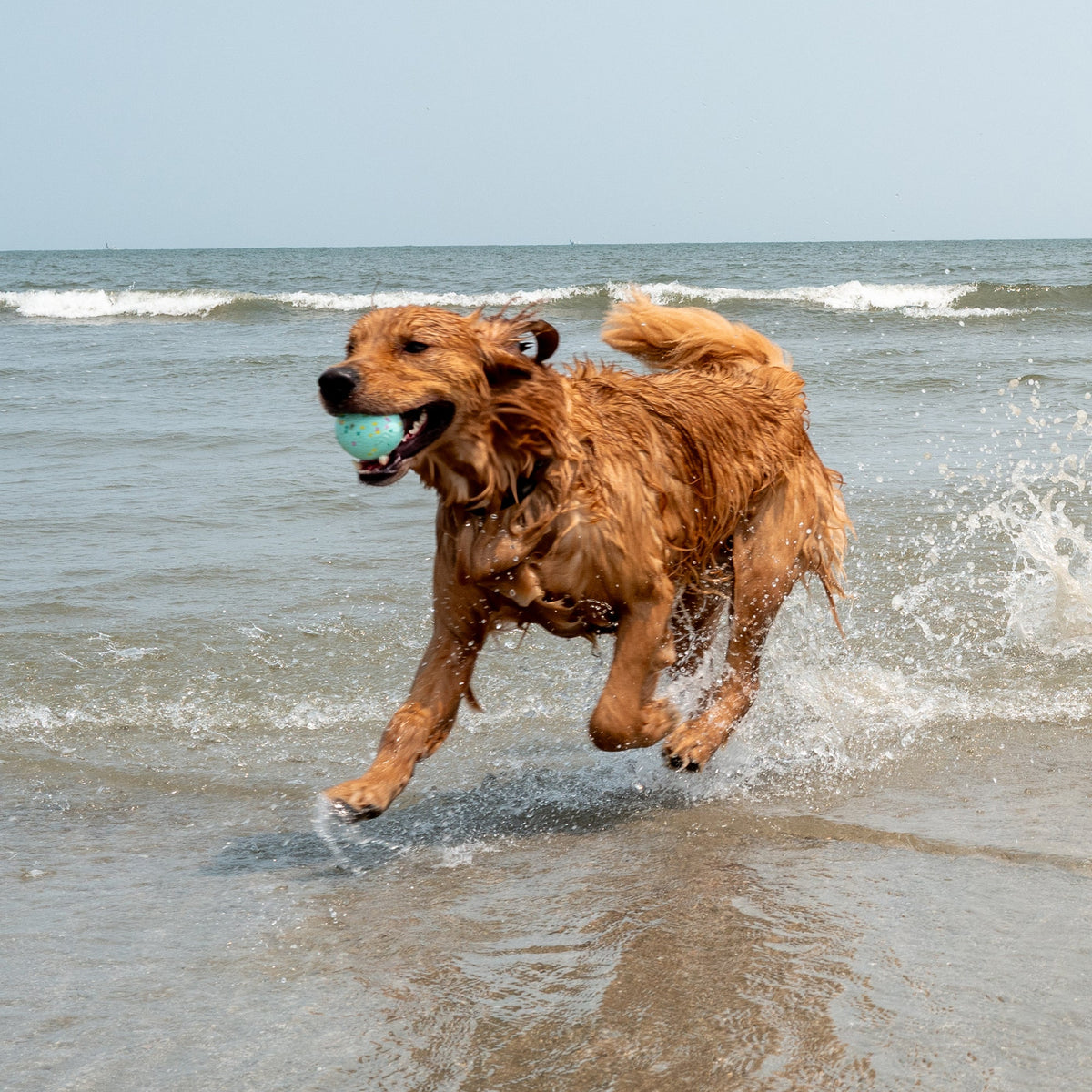 Body Glove Tough Ball 3 Pack - Dog Balls