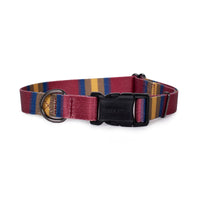 Pendleton National Park Adventure Collar