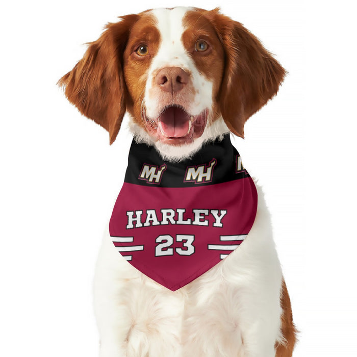 Miami Heat Pet Jersey – 3 Red Rovers