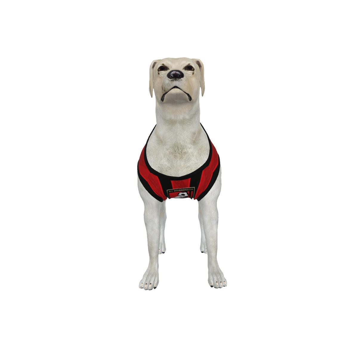 AFC Bournemouth 25/26 Home Kit Inspired Personalized Tank