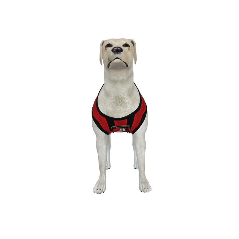 AFC Bournemouth 25/26 Home Kit Inspired Personalized Tank