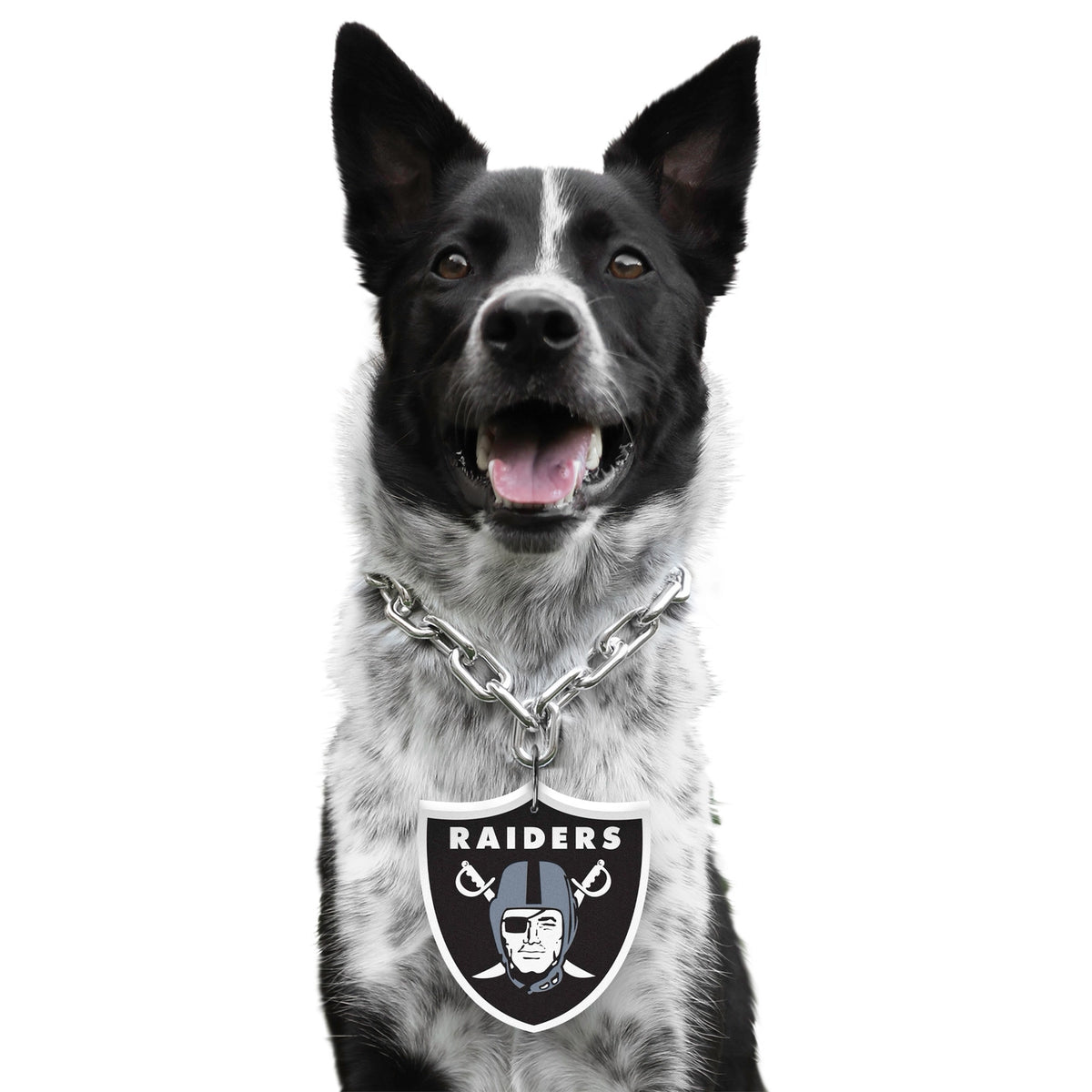 Las Vegas Raiders Pet Fan Chain