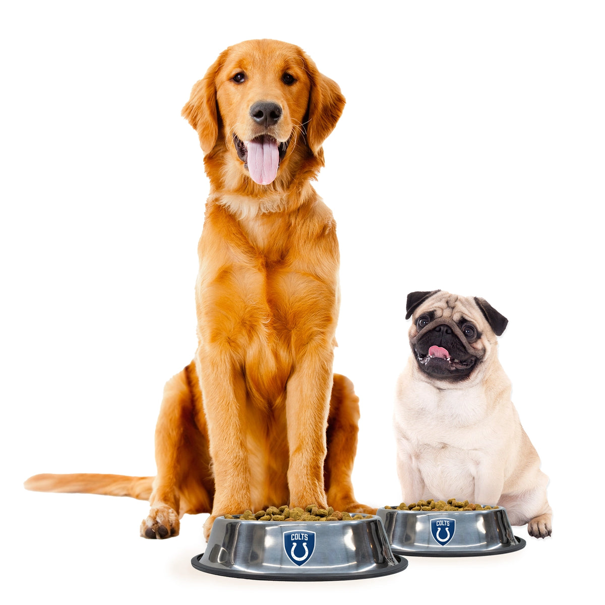 Indianapolis Colts Everyday Pet Bowl