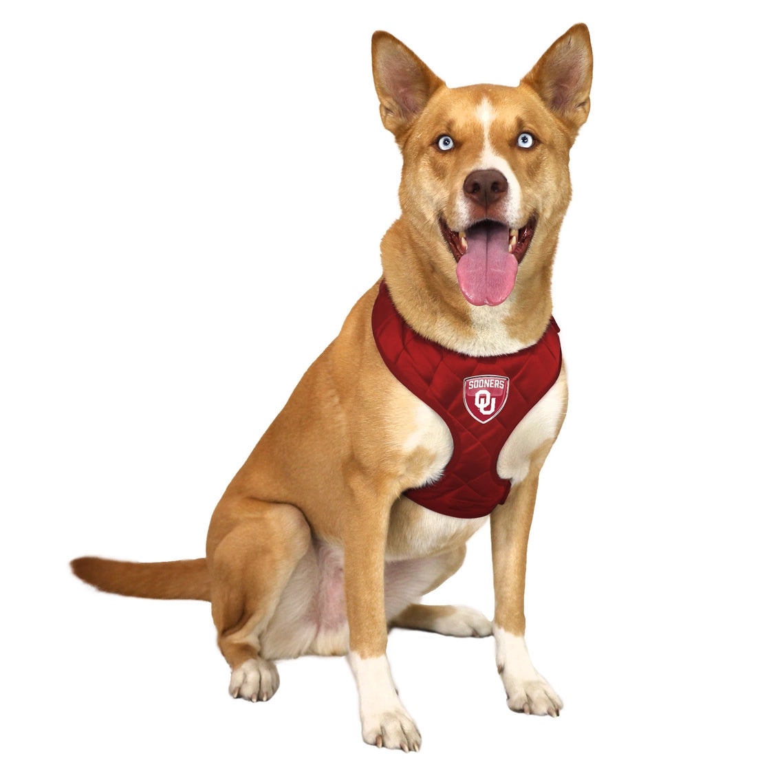 OK Sooners Velvet Harness