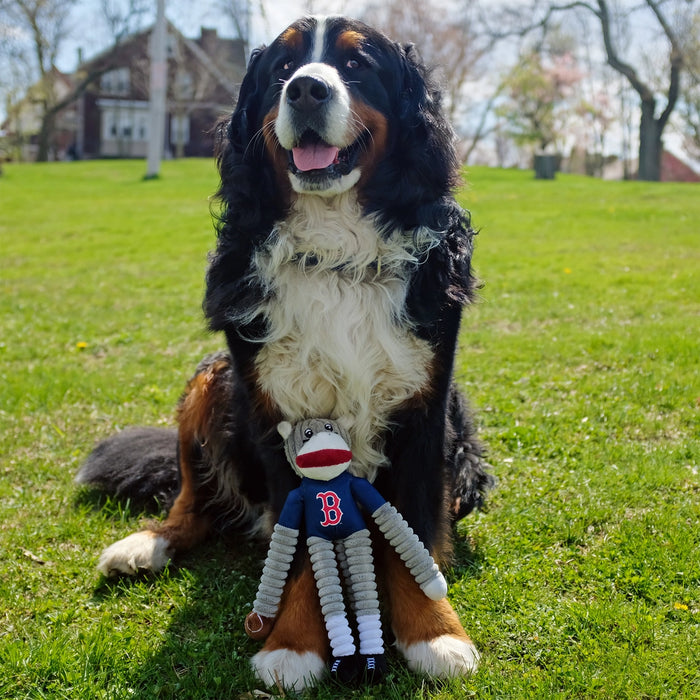 Boston Red Sox Sock Monkey Toy