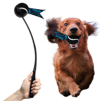 Carolina Panthers Pet Ball Launcher Toy