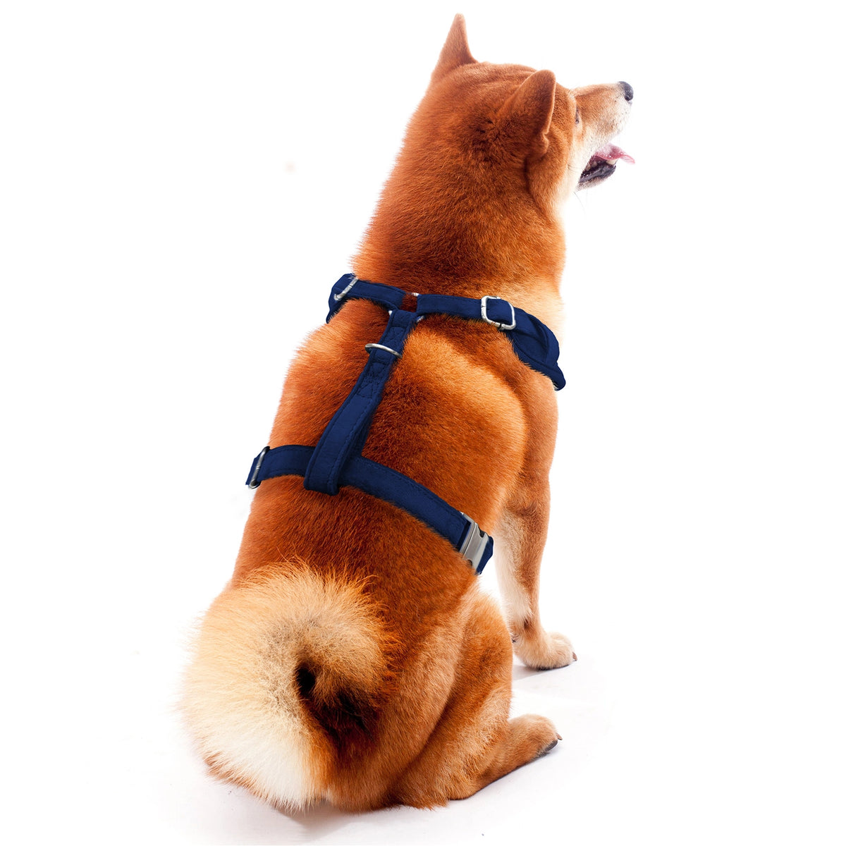 Chicago Bears Velvet Harness