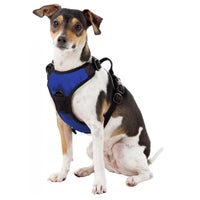 Chicago Cubs Front Clip Harness