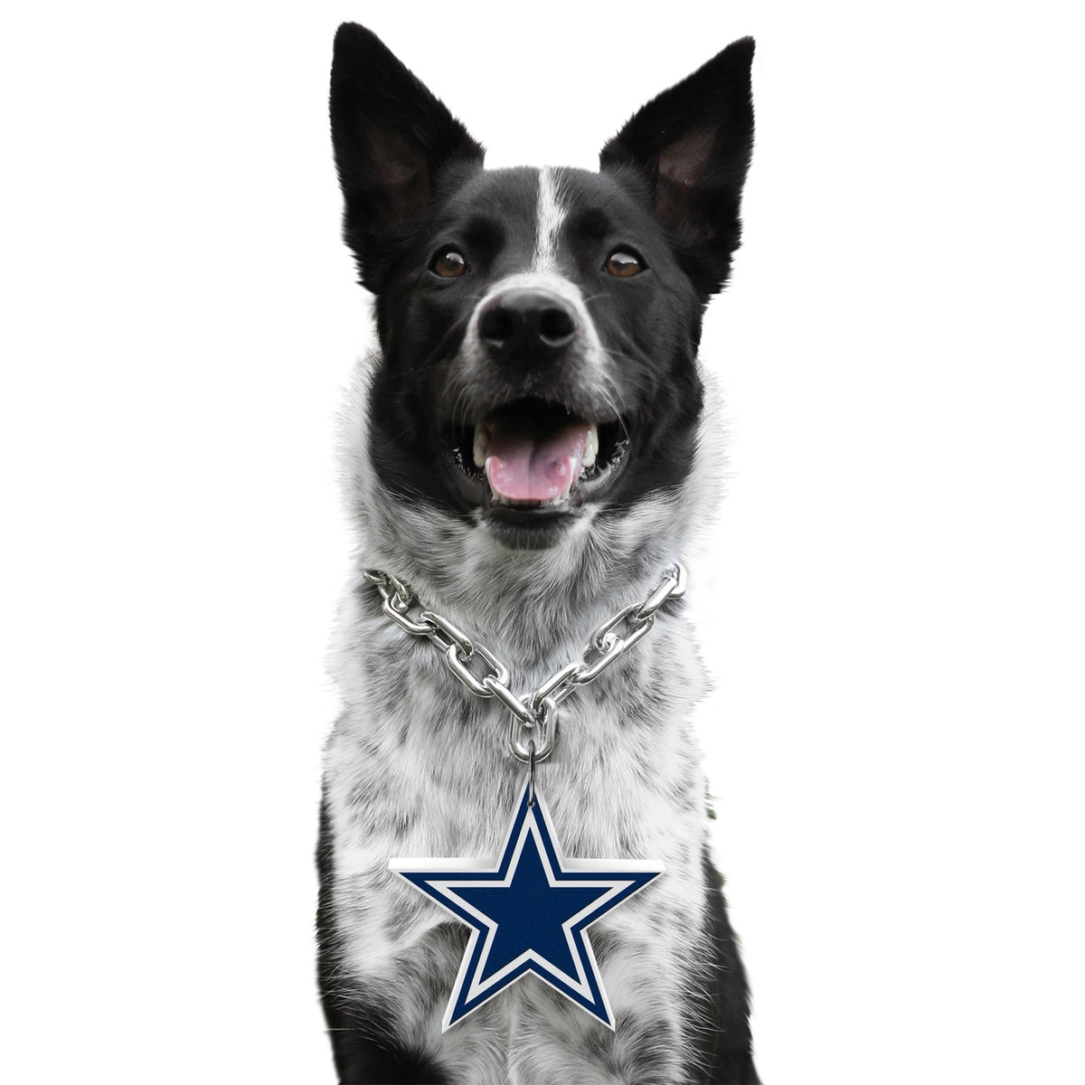 Dallas Cowboys Pet Fan Chain