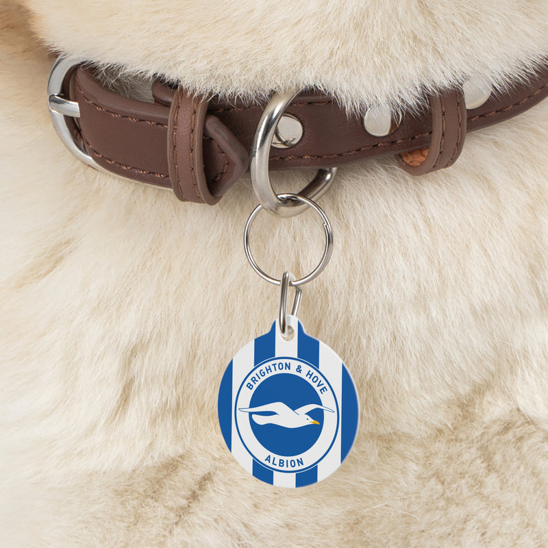 Brighton & Hove Albion FC 25/26 Home Kit-Inspired ID Tag
