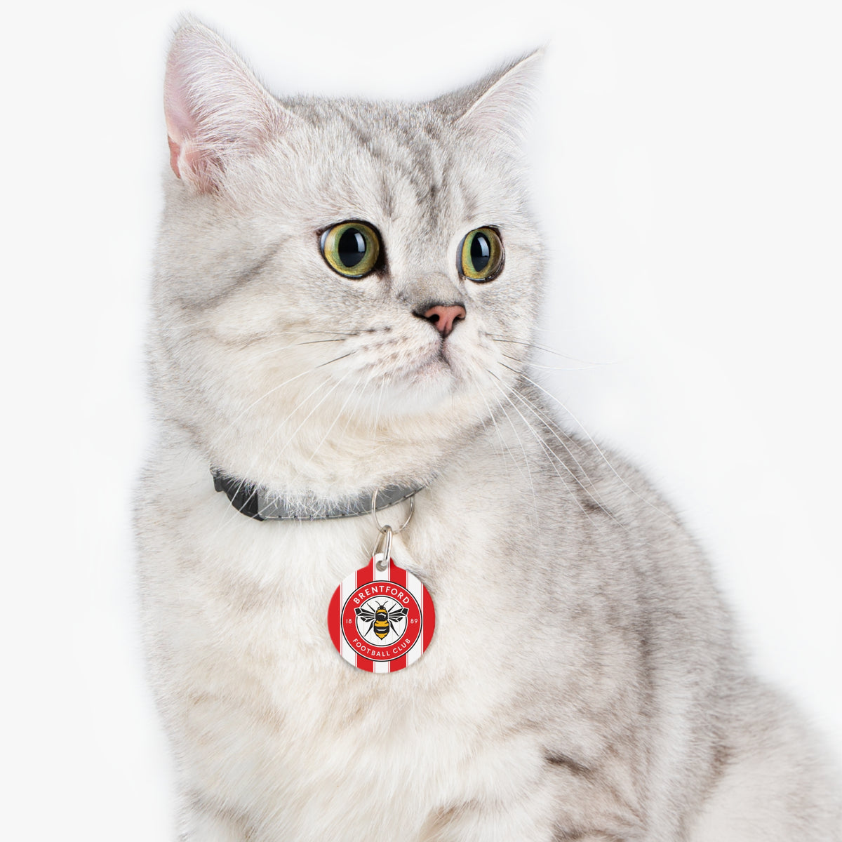 Brentford FC 25/26 Home Kit-Inspired Collar Charm