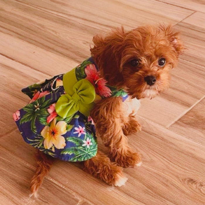 Blue Lagoon Hawaiian Hibiscus Dress with Matching Leash