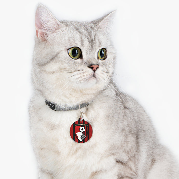 AFC Bournemouth 25/26 Home Inspired Collar Charm