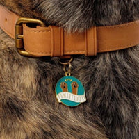 Pawsitivity Pet ID Tag