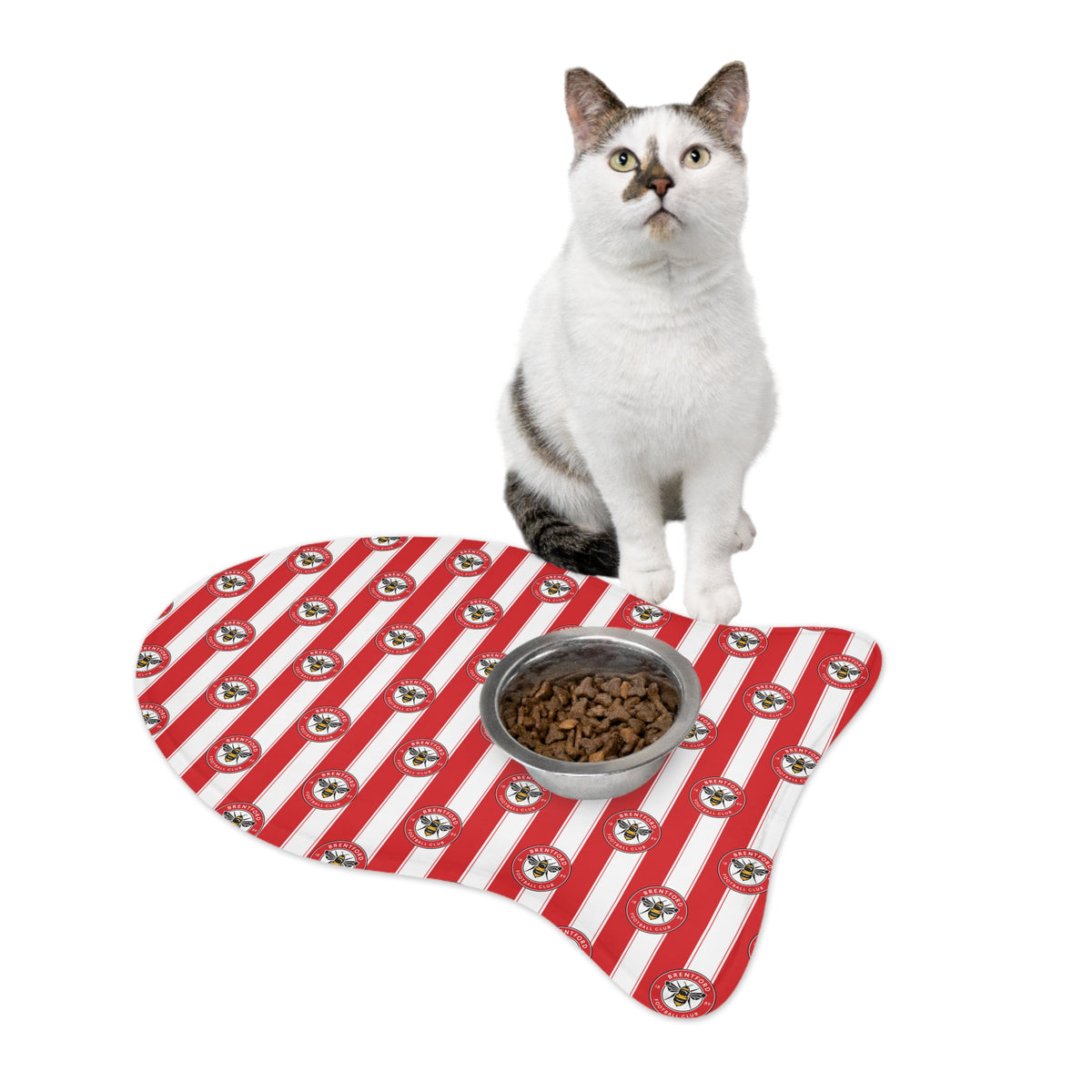 Brentford FC 25/26 Team-inspired Pet Feeding Mats
