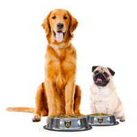 Boston Bruins Everyday Pet Bowl