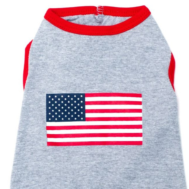 American Flag Lightweight Tee Shirt