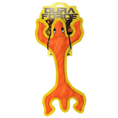 DuraForce Lizard Tough Toy