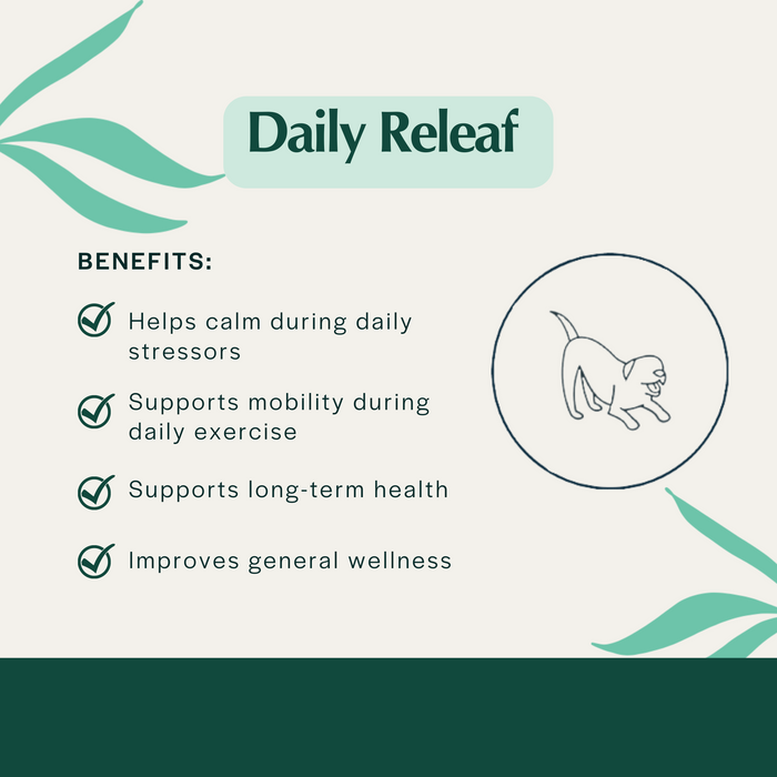 Daily Releaf 200mg Hemp Oil
