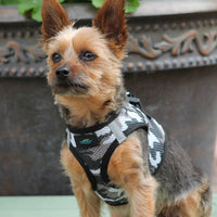 American River Choke Free Dog Harness™ Gray Camo