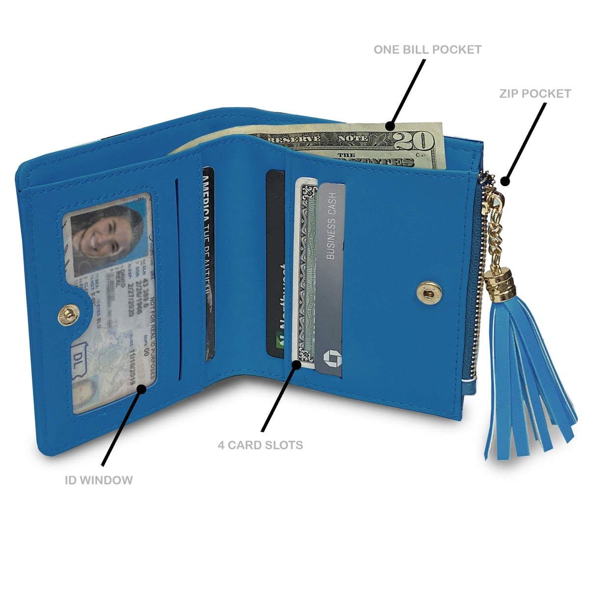 Detroit Lions Mini Organizer Wallet