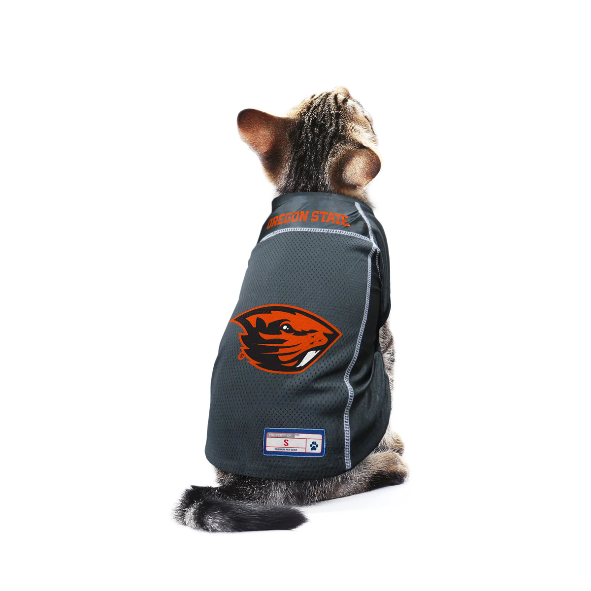 OR State Beavers Cat Jersey