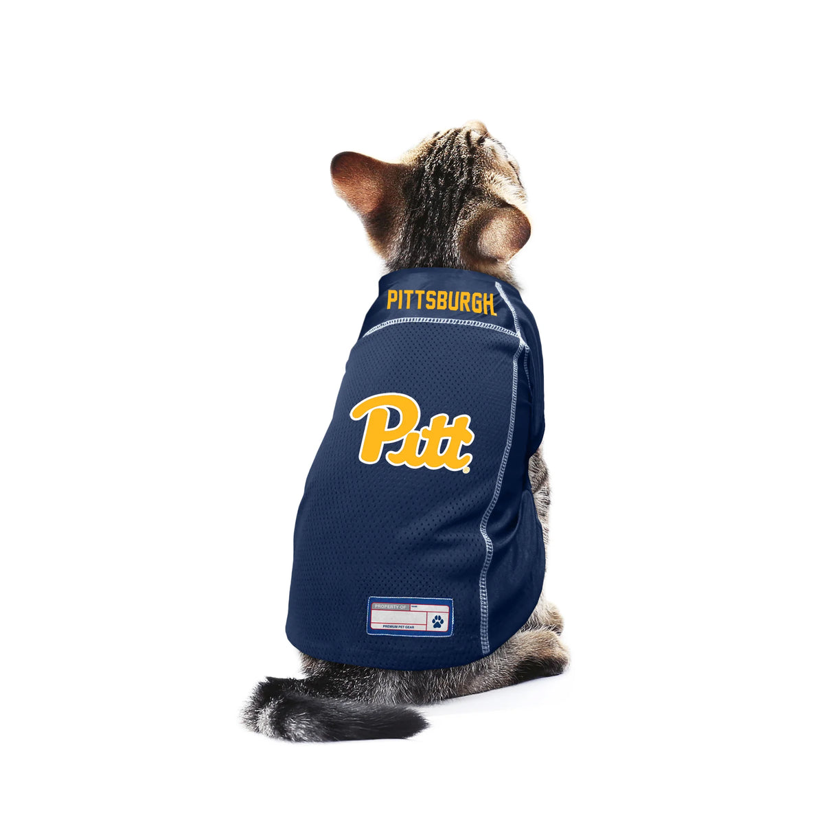 Cat top panthers jersey