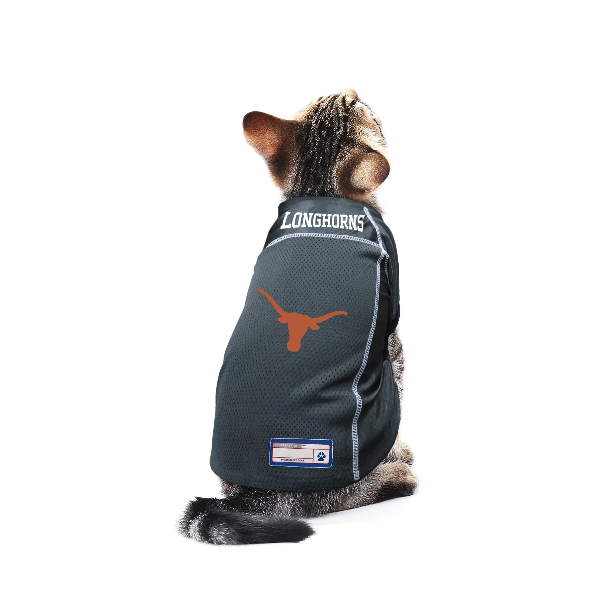 TX Longhorns Cat Jersey 3 Red Rovers