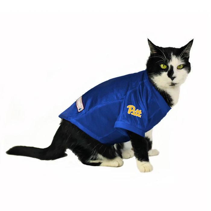 Pittsburgh Panthers Cat Stretch Jersey