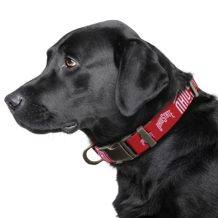 OH State Buckeyes Premium Dog Collar or Leash