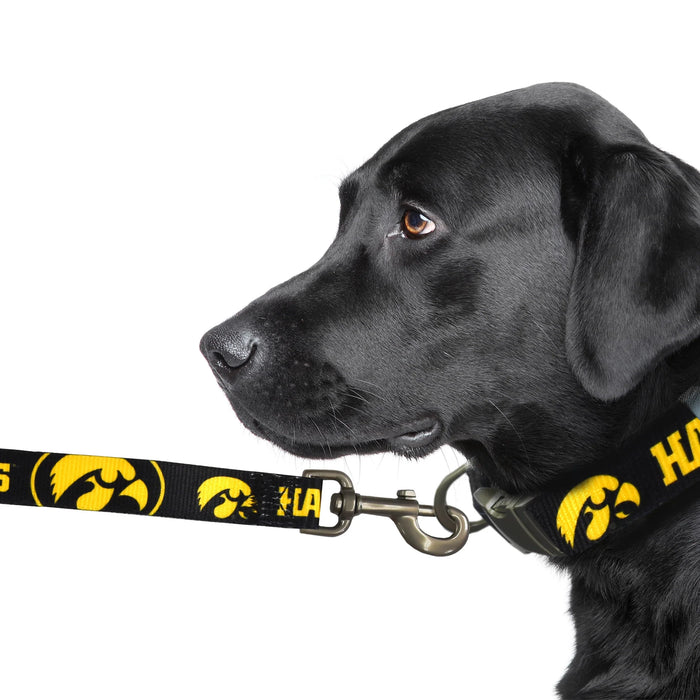 IA Hawkeyes Premium Dog Collar or Leash