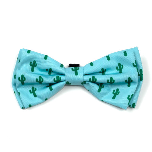 Cactus Flower Collection Neckwear
