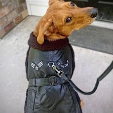 Black Top Dog Bomber Harness Jacket