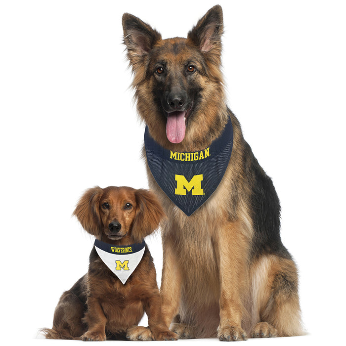 MI Wolverines Reversible Slide-On Bandana