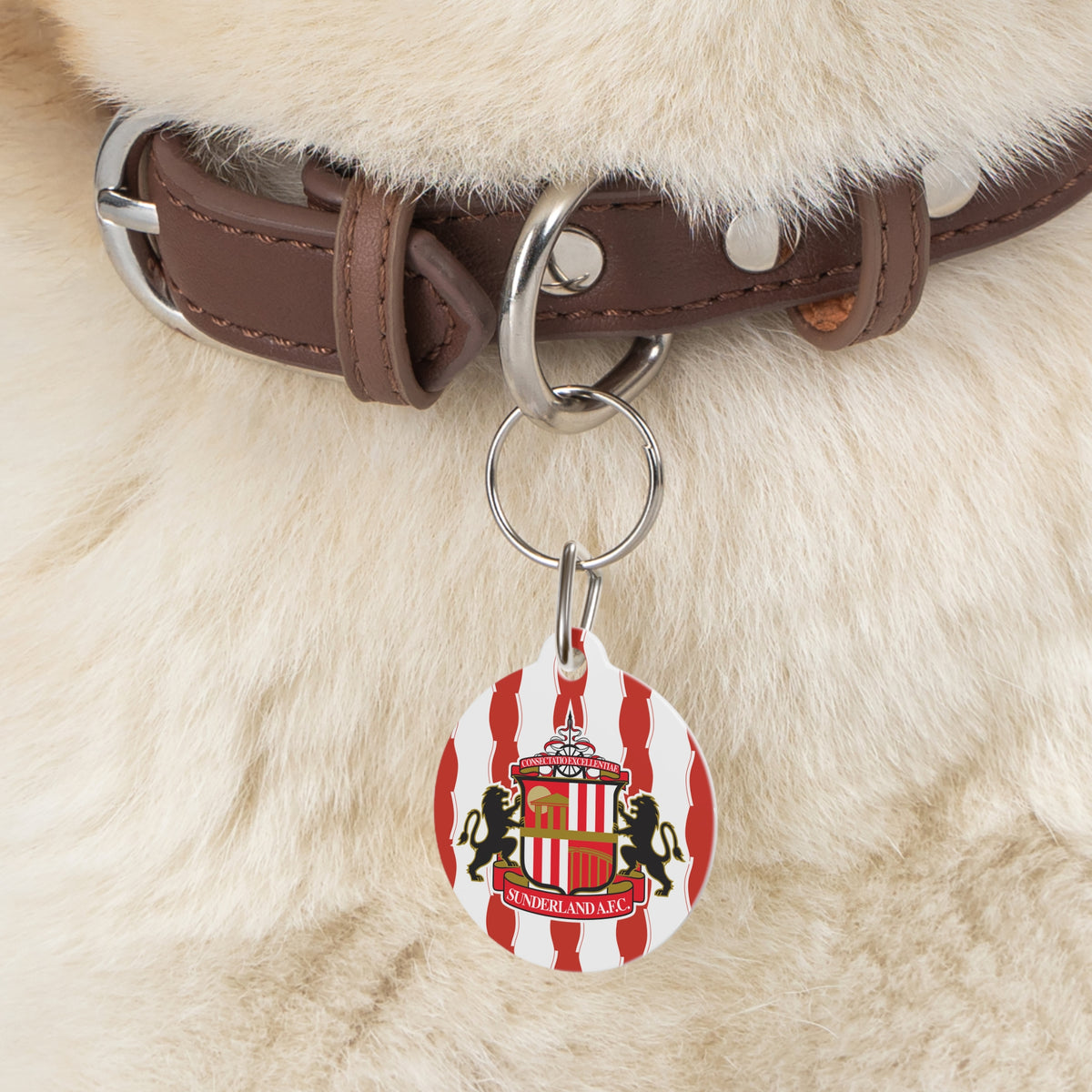 Sunderland AFC 25/26 Home Kit-Inspired Collar Charm
