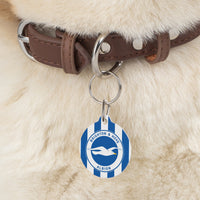 Brighton & Hove Albion FC 25/26 Home Kit-Inspired Collar Charm