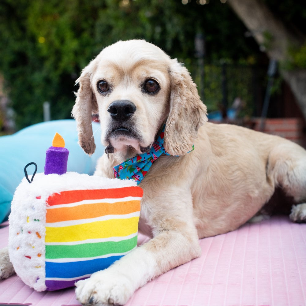 Funfetti Cake Plush Dog Toy