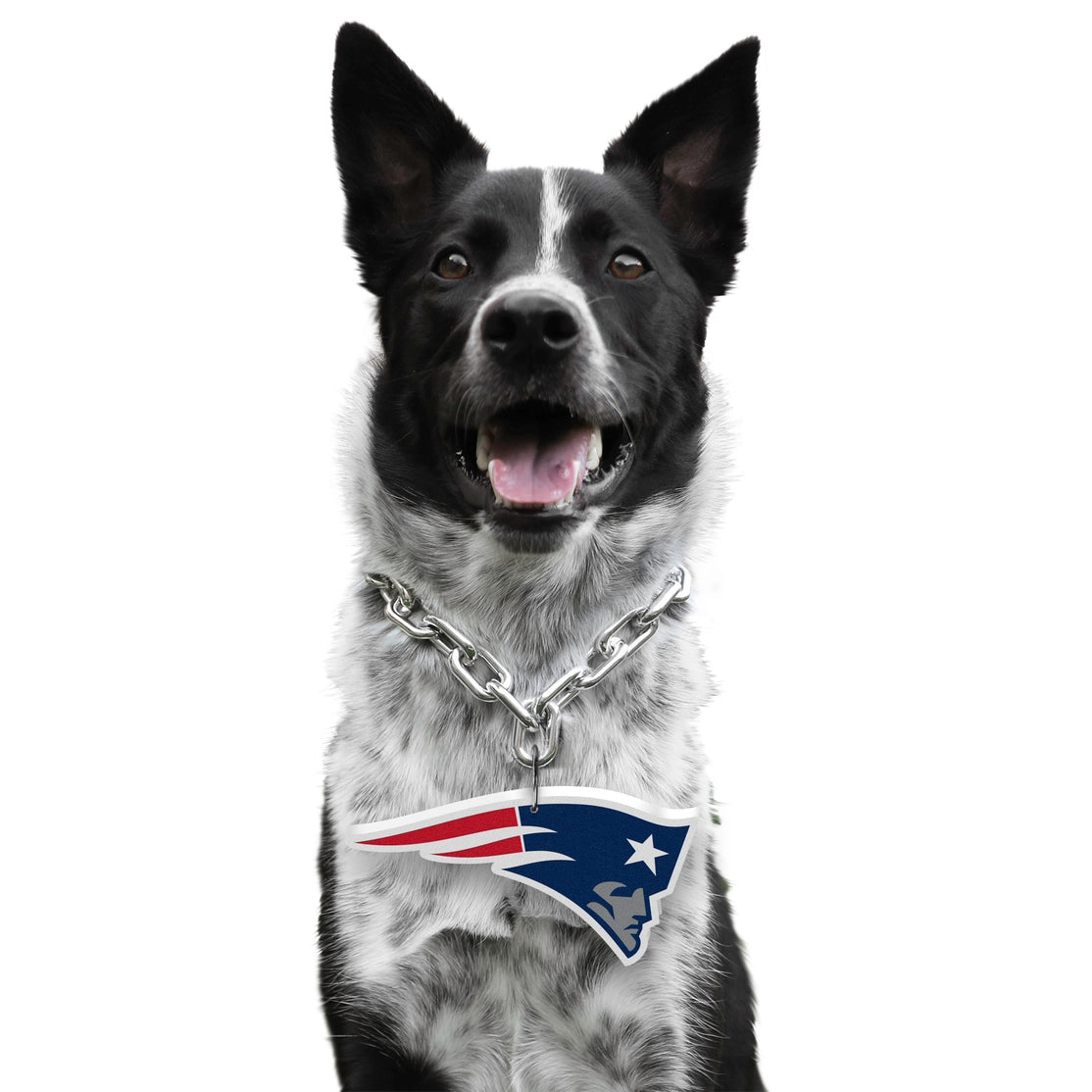 New England Patriots Pet Fan Chain