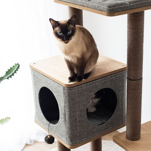 Elevate Minimalist Wooden Handmade Cat Tree
