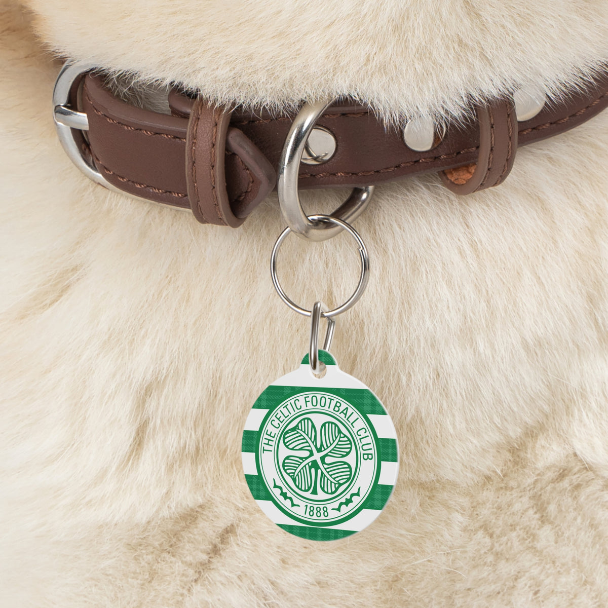 Celtic FC 25/26 Home Kit-Inspired Collar Charm