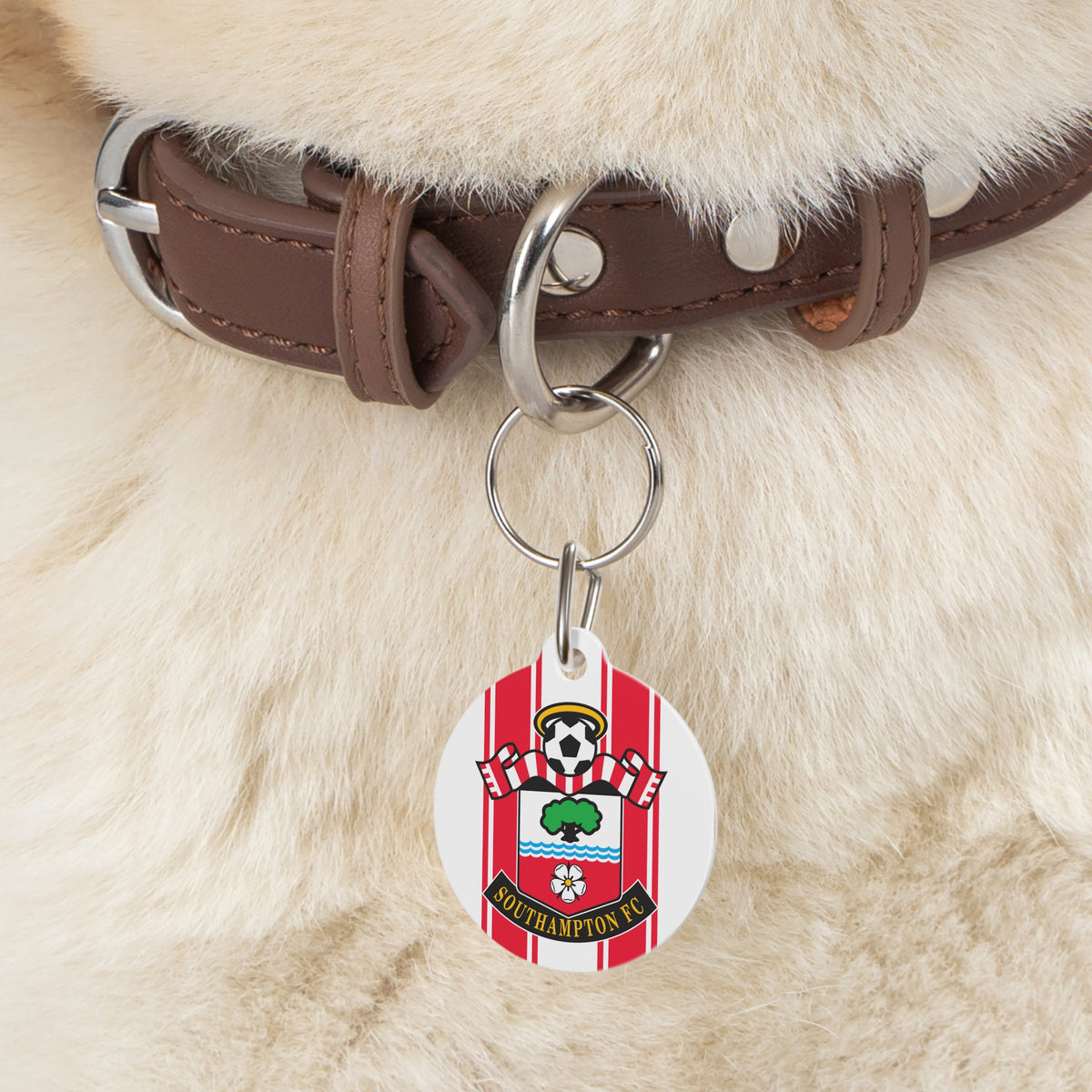 Southampton FC 25/26 Home Kit-Inspired ID Tag