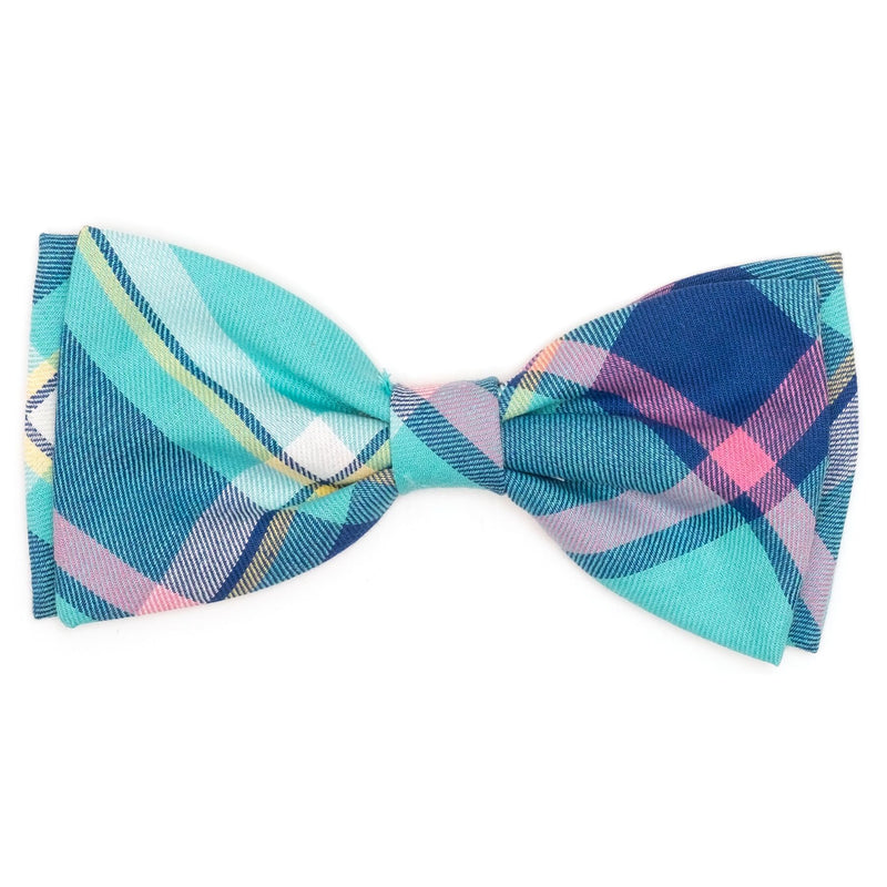 Aqua Navy Collection Neckwear Accessories