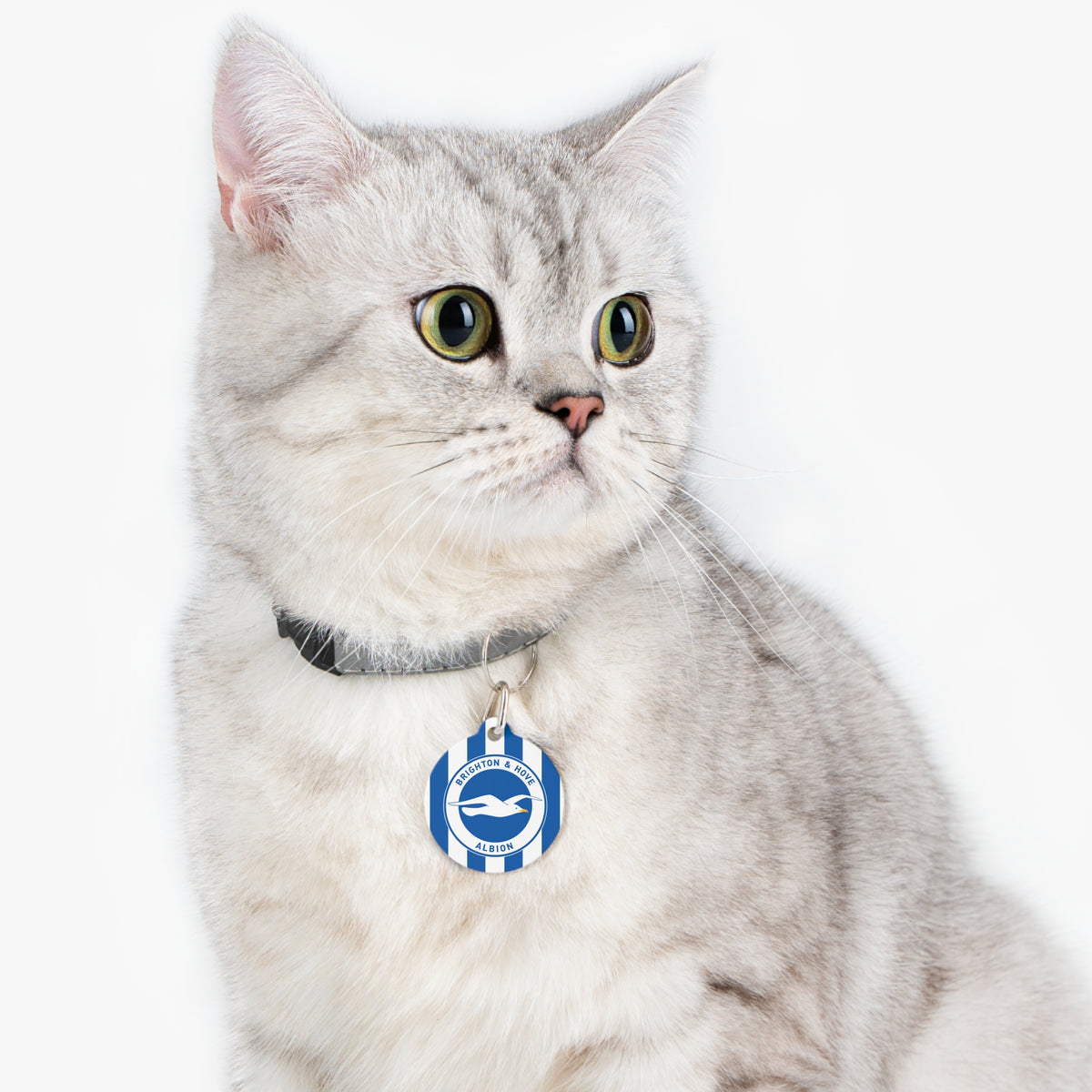 Brighton & Hove Albion FC 25/26 Home Kit-Inspired Collar Charm