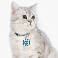 Brighton & Hove Albion FC 25/26 Home Kit-Inspired Collar Charm