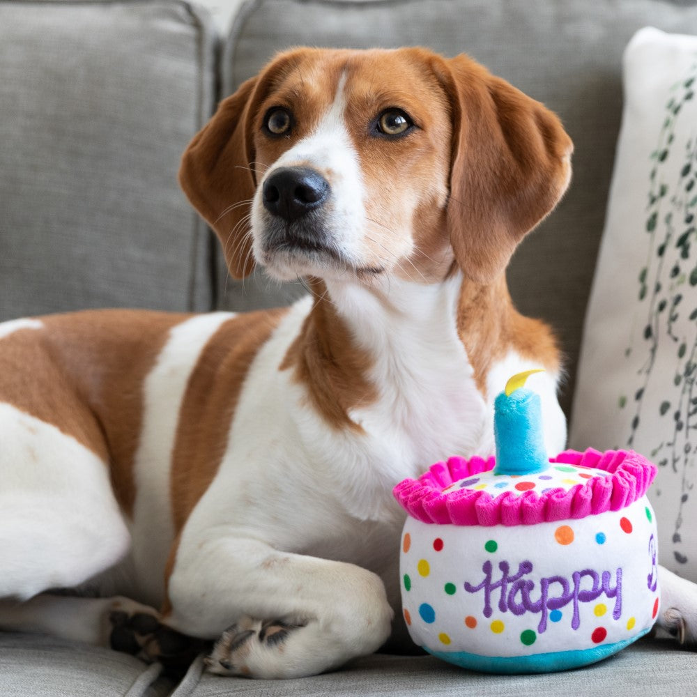 Happy Barkday Cake Plush Dog Toy